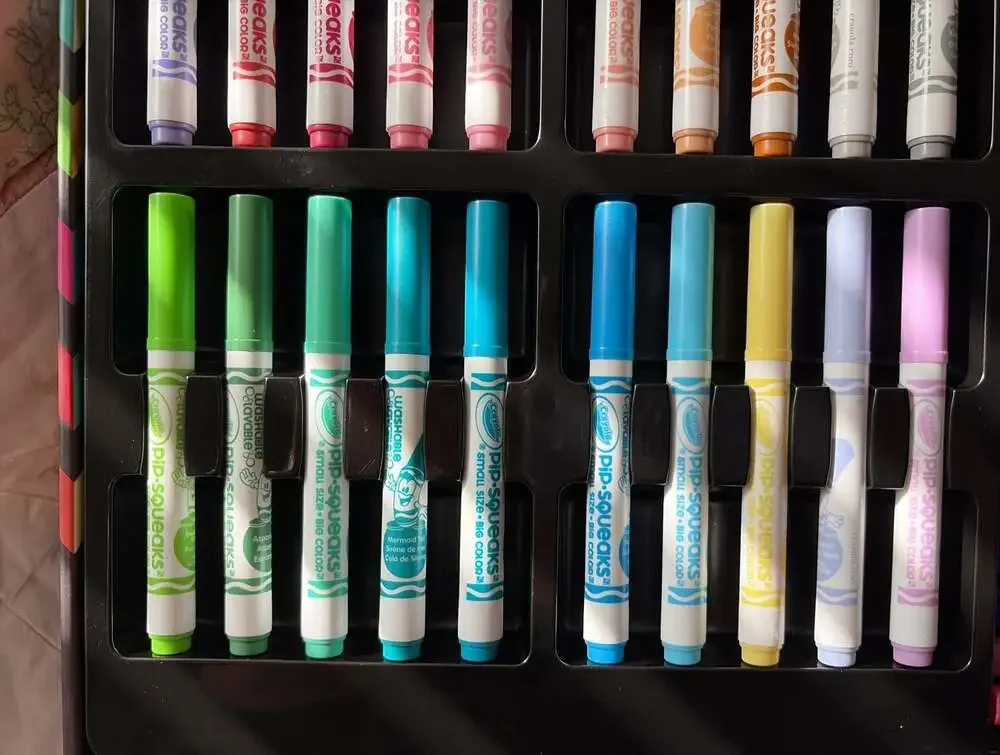 Crayola Chevron Pattern Art Case